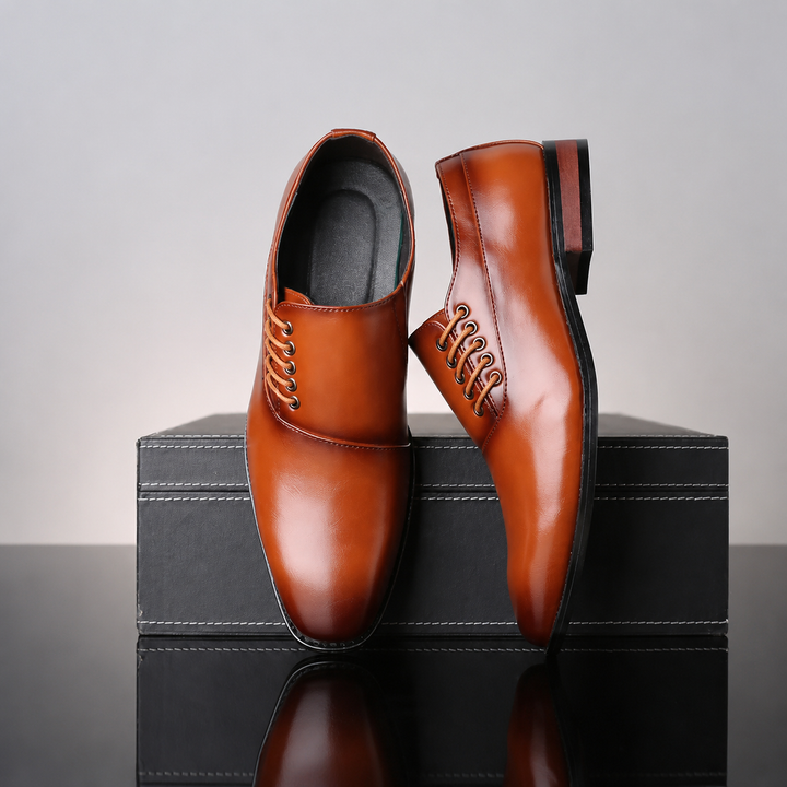 Alden Oxford Shoes